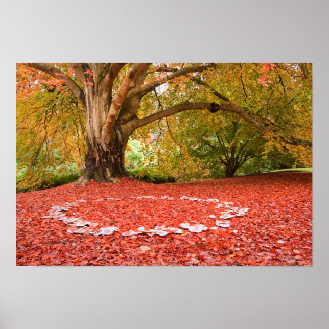 Beautiful Autumn Fall Nature Fairy Ring Poster (Front)