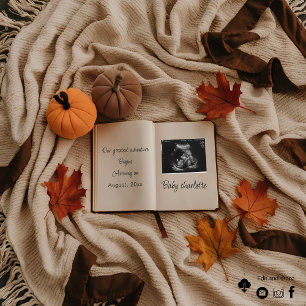 Beautiful autumn fall pregnancy announcement 