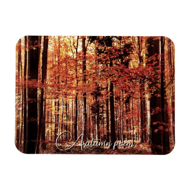 Beautiful autumn forest magnet (Horizontal)