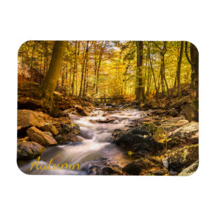 Beautiful Autumn Forest Magnet