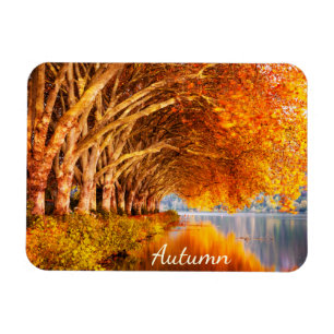 Beautiful Autumn Forest Magnet