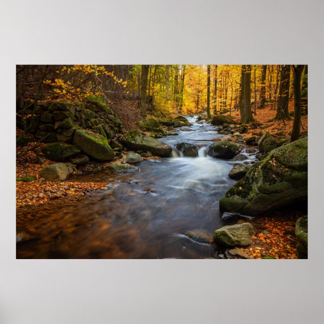 Beautiful Autumn Forest Poster (Front)