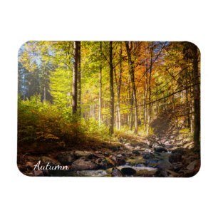 Beautiful Autumn Forest with river Magnet