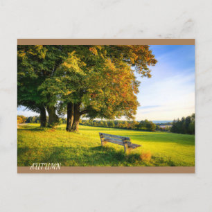 Beautiful Autumn Landscape Postcard