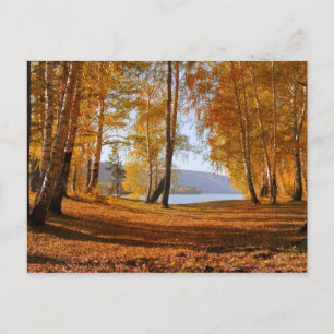 Beautiful autumn Landscape Postcard