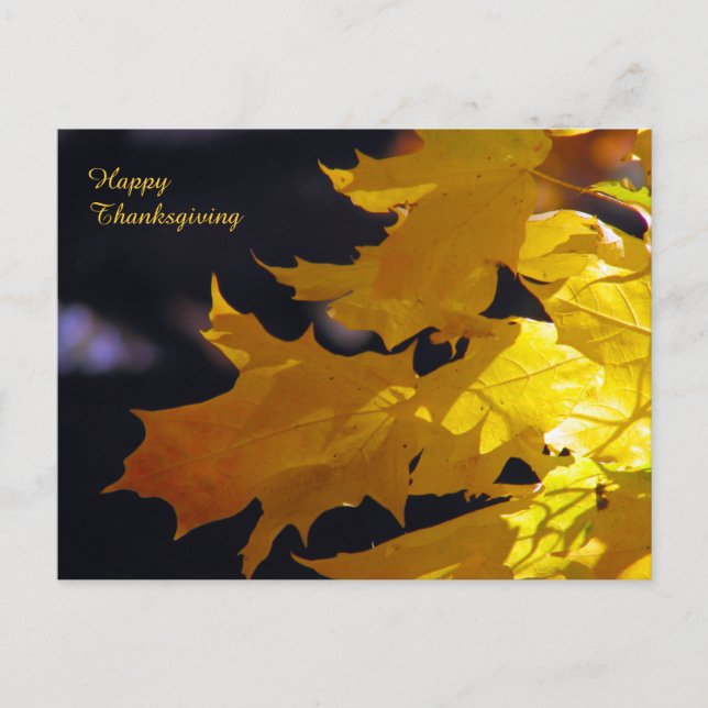 Beautiful Autumn Leaves Thanksgiving Greeting Holiday Postcard (Front)