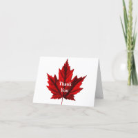 Beautiful Autumn Maple Leaf