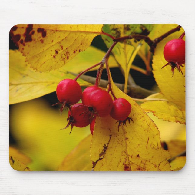 beautiful autumn mousepad (Front)