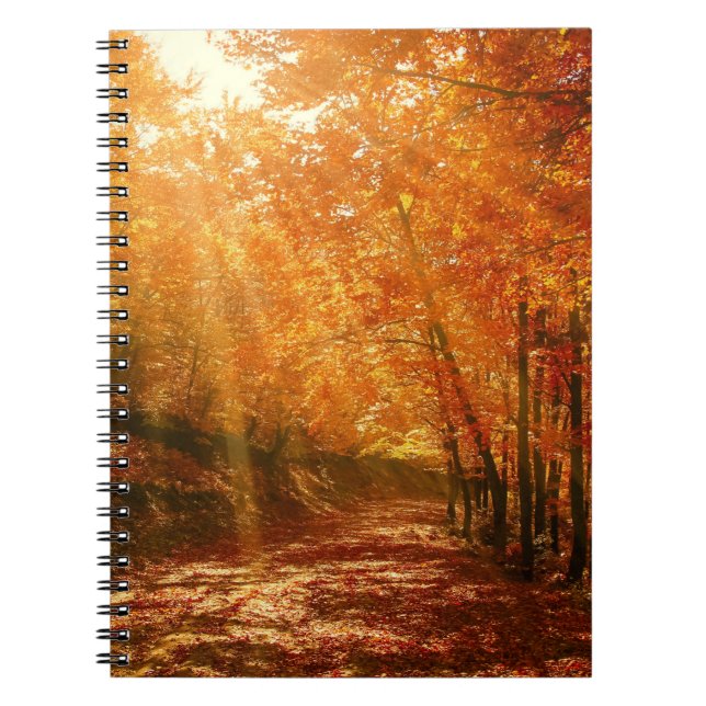 Beautiful autumn notebook (Front)