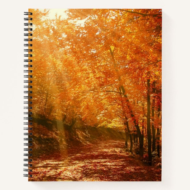 Beautiful autumn notebook (Front)