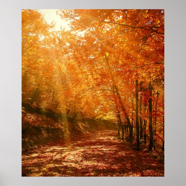 Beautiful autumn poster (Front)