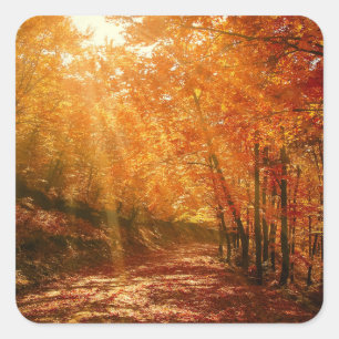 Beautiful autumn square sticker