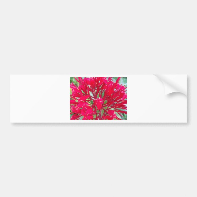 Beautiful Awesome Red flowers Bumper Sticker (Front)
