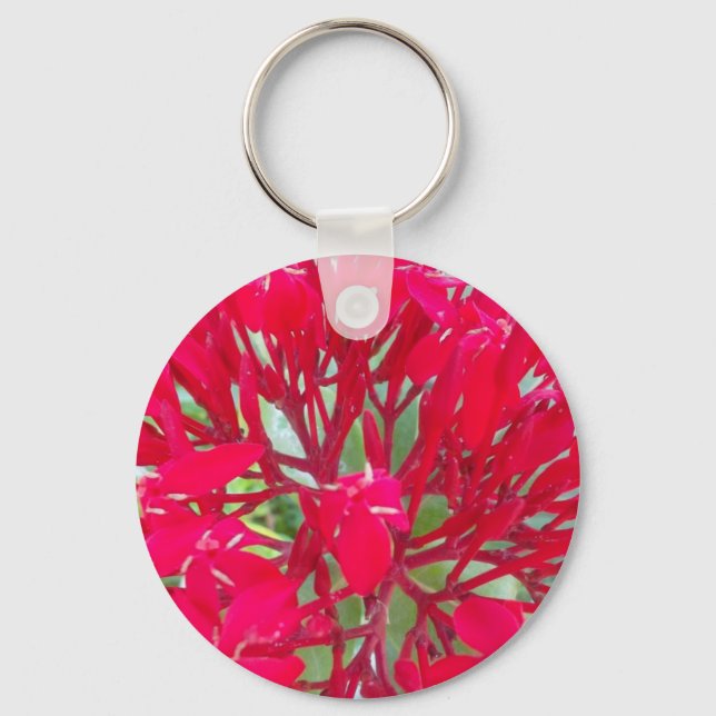 Beautiful Awesome Red flowers Key Ring (Front)