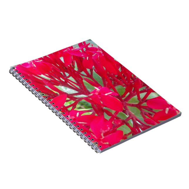 Beautiful Awesome Red flowers Notebook (Right Side)