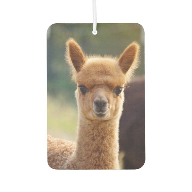 Beautiful Baby Alpaca Air Freshener (Front)