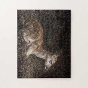 Beautiful Baby Buck in the Evening Jigsaw Puzzle
