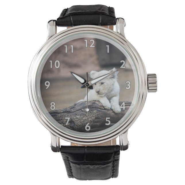 Beautiful Baby White Lion Cub Watch (Front)