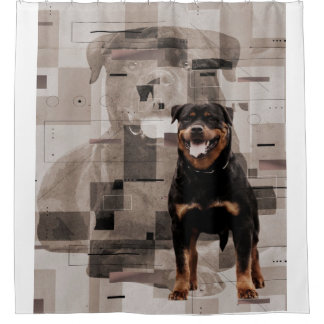 Beautiful Background Rottweiler  - Metzgerhund Shower Curtain