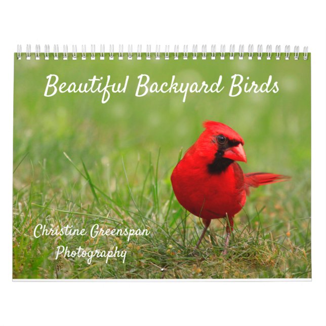 Beautiful Backyard Birds Calendar (Cover)