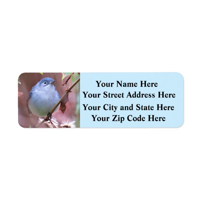 Beautiful Backyard Birds - Return Address Labels (Front)