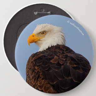 Beautiful Bald Eagle in a Tree 6 Cm Round Badge