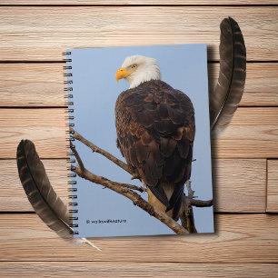 Beautiful Bald Eagle in a Tree Notebook