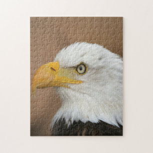 Beautiful Bald Eagle Jigsaw Puzzle