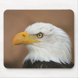 Beautiful Bald Eagle Mouse Mat