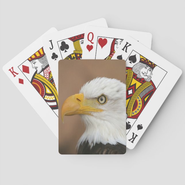 Beautiful Bald Eagle Playing Cards (Back)