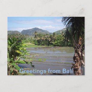 Beautiful Bali Rice Paddies Postcard