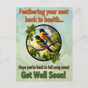 Beautiful Baltimore Orioles Get Well Postcard