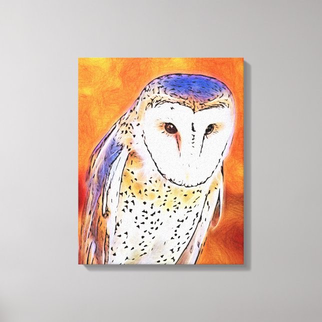 Beautiful Barn Owl Bird With White Face Canvas Print (Front)