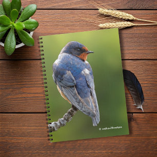 Beautiful Barn Swallow on a Branch Notebook