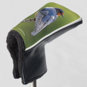 Beautiful Barn Swallow Songbird on a Branch Golf Head Cover