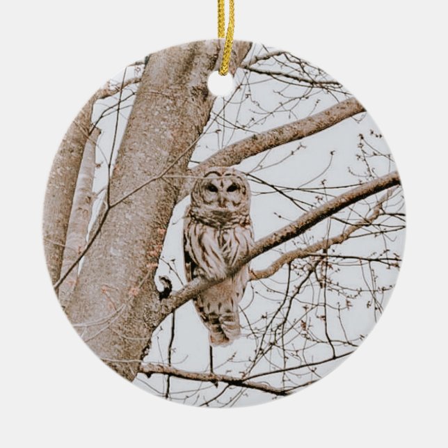 Beautiful Barred Owl Audubon Valentine’s  Ceramic Tree Decoration (Front)
