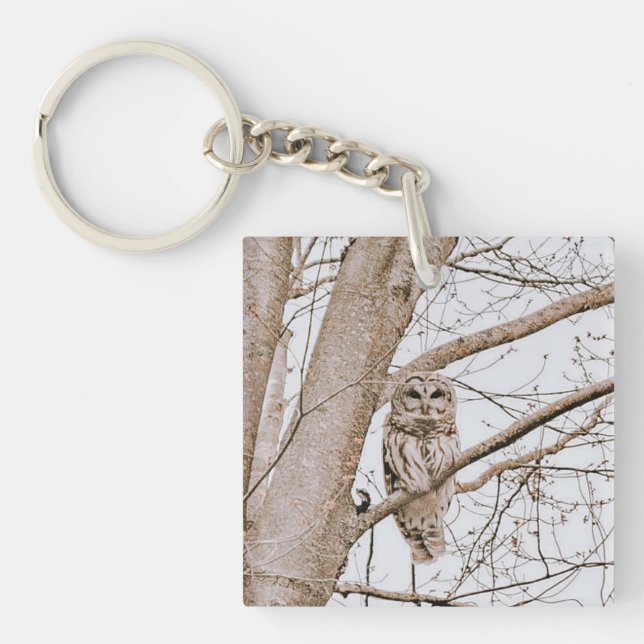Beautiful Barred Owl Audubon Valentine’s  Key Ring (Front)
