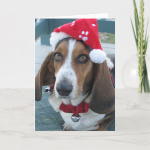 Beautiful Basset Santa Christmas Holiday Card