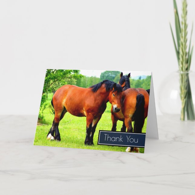 Beautiful Bay Draught Horses In A Meadow Thank You (Front)