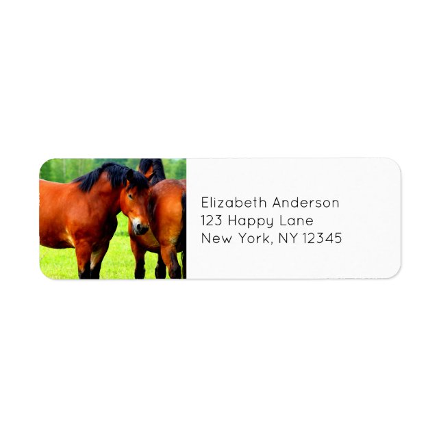 Beautiful Bay Draught Horses In Lush Green Meadow (Front)