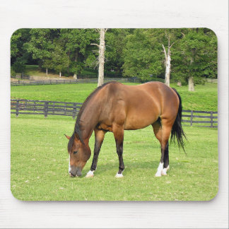 beautiful bay horse mouse mat