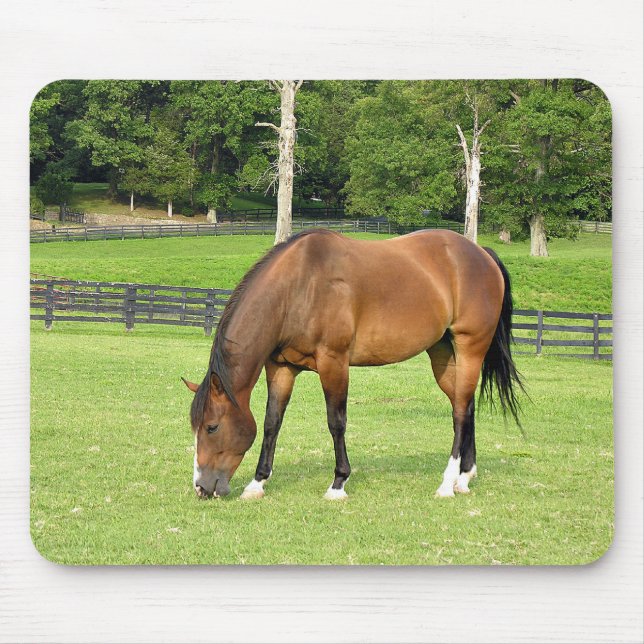 beautiful bay horse mouse mat (Front)