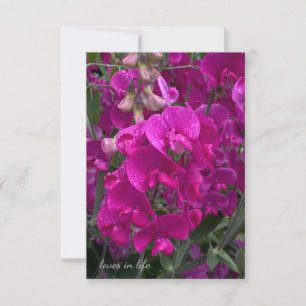 Beautiful Beach Sweet Pea Card