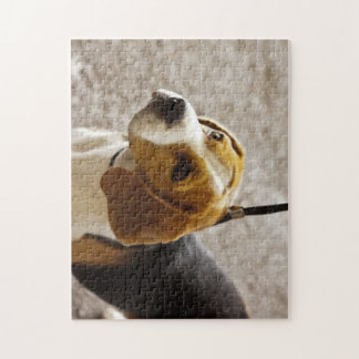 Beautiful Beagle Puzzle