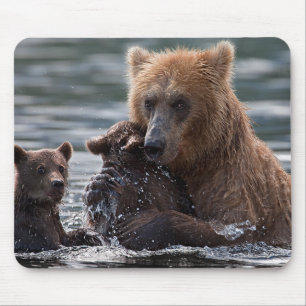 Beautiful Bear and Her Cubs Mouse Mat