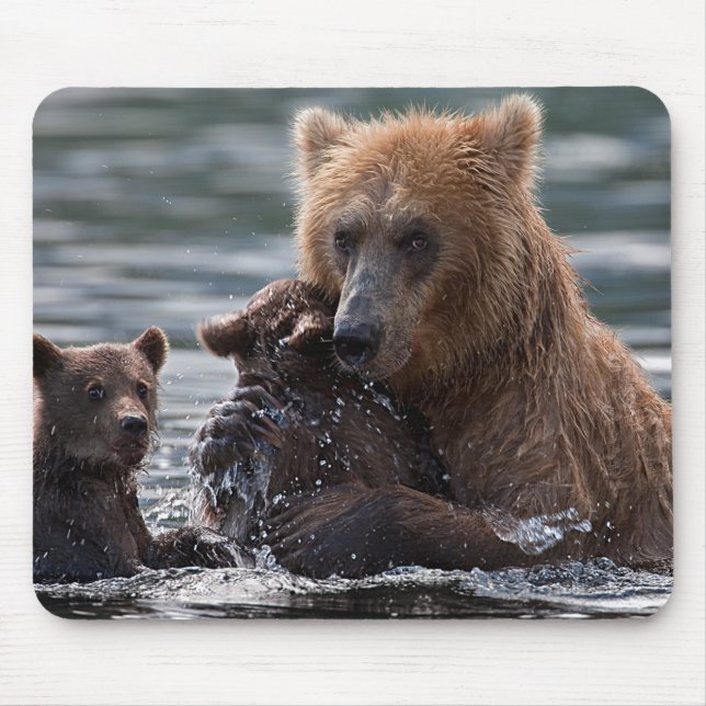 Beautiful Bear and Her Cubs Mouse Mat (Front)