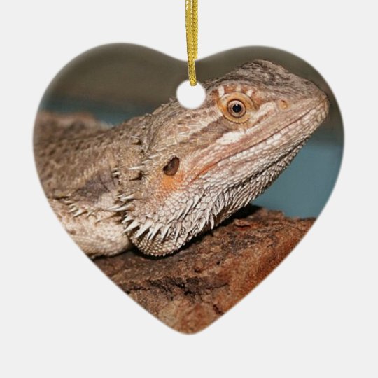 Beautiful Bearded Dragon Christmas Ornament Zazzle.co.uk