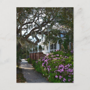 Beautiful Beaufort, South Carolina Postcard