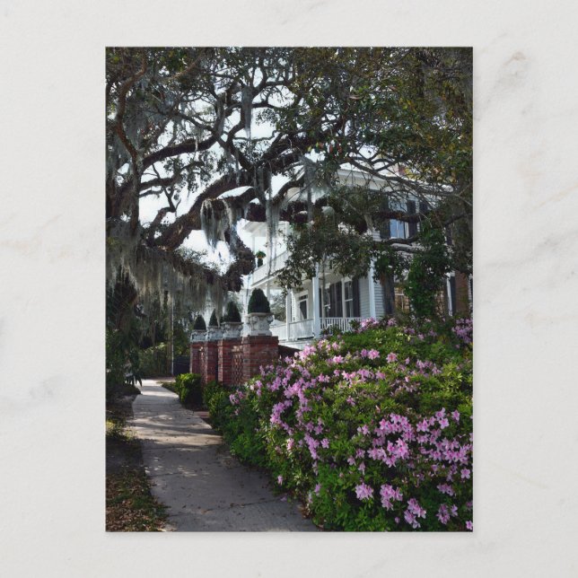 Beautiful Beaufort, South Carolina Postcard (Front)