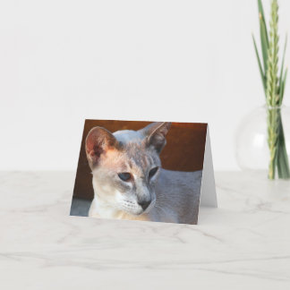 Beautiful Beautiful Blue Eyes Card